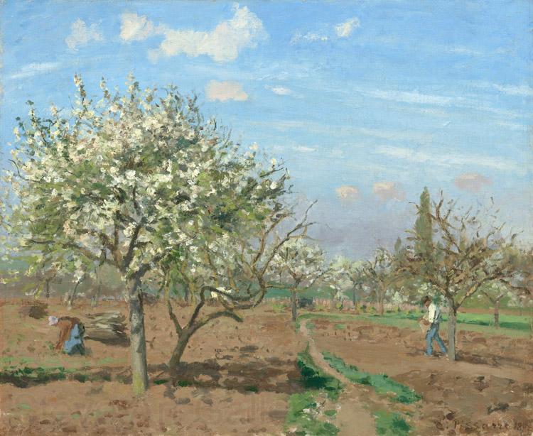 Camille Pissarro Orchard in  Bloom,Louveciennes (nn02) Norge oil painting art